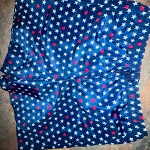 DSG Boys Train Shorts XL